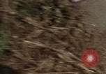 Standbild Schatullen der Astronaut Arlington Virginia USA, 1967, aus Sekunde 4 historischem Filmmaterial Videoclip 65675027814