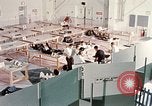 Image NASA Enquête et examen après Apollo 1 tragédie United States USA, 1967, de la seconde 18 séquences d'archives historiques vidéo 65675027819