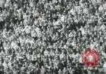 Image Columbia et Dartmouth le football Baker Field New York USA, 1961, de la seconde 15 séquences d'archives historiques vidéo 65675027887