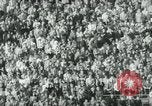 Image Columbia et Dartmouth le football Baker Field New York USA, 1961, de la seconde 26 séquences d'archives historiques vidéo 65675027887