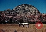 Image des richesses naturelles de l'Arizona et personnes Arizona United States USA, 1939, de la seconde 41 séquences d'archives historiques vidéo 65675027889