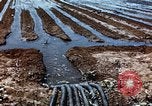 Image of Davis Dam under construction Arizona United States USA, 1939, second 40 stock footage video 65675027893