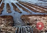 Image of Davis Dam under construction Arizona United States USA, 1939, second 43 stock footage video 65675027893