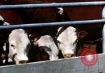 Image of Davis Dam under construction Arizona United States USA, 1939, second 62 stock footage video 65675027893