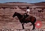 Image of Cowboys and ranches in Arizona Arizona United States USA, 1939, second 3 stock footage video 65675027894