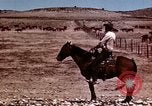 Image of Cowboys and ranches in Arizona Arizona United States USA, 1939, second 6 stock footage video 65675027894