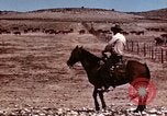 Image of Cowboys and ranches in Arizona Arizona United States USA, 1939, second 7 stock footage video 65675027894