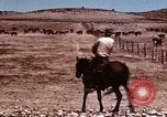 Image of Cowboys and ranches in Arizona Arizona United States USA, 1939, second 8 stock footage video 65675027894