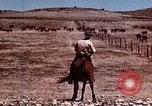 Image of Cowboys and ranches in Arizona Arizona United States USA, 1939, second 9 stock footage video 65675027894