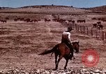 Image of Cowboys and ranches in Arizona Arizona United States USA, 1939, second 10 stock footage video 65675027894