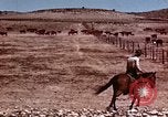 Image of Cowboys and ranches in Arizona Arizona United States USA, 1939, second 11 stock footage video 65675027894