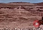 Image of Cowboys and ranches in Arizona Arizona United States USA, 1939, second 12 stock footage video 65675027894