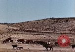 Image of Cowboys and ranches in Arizona Arizona United States USA, 1939, second 13 stock footage video 65675027894