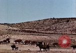Image of Cowboys and ranches in Arizona Arizona United States USA, 1939, second 14 stock footage video 65675027894