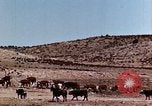 Image of Cowboys and ranches in Arizona Arizona United States USA, 1939, second 16 stock footage video 65675027894