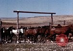 Image of Cowboys and ranches in Arizona Arizona United States USA, 1939, second 19 stock footage video 65675027894