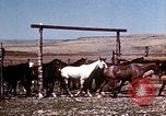 Image of Cowboys and ranches in Arizona Arizona United States USA, 1939, second 21 stock footage video 65675027894
