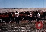 Image of Cowboys and ranches in Arizona Arizona United States USA, 1939, second 22 stock footage video 65675027894