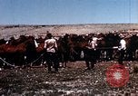 Image of Cowboys and ranches in Arizona Arizona United States USA, 1939, second 23 stock footage video 65675027894