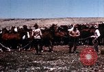 Image of Cowboys and ranches in Arizona Arizona United States USA, 1939, second 24 stock footage video 65675027894