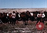 Image of Cowboys and ranches in Arizona Arizona United States USA, 1939, second 25 stock footage video 65675027894