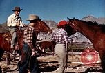 Image of Cowboys and ranches in Arizona Arizona United States USA, 1939, second 39 stock footage video 65675027894