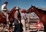 Image of Cowboys and ranches in Arizona Arizona United States USA, 1939, second 40 stock footage video 65675027894