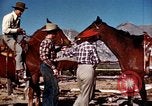 Image of Cowboys and ranches in Arizona Arizona United States USA, 1939, second 41 stock footage video 65675027894
