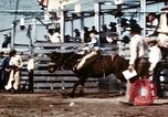 Image of Coconino National Forest Arizona United States USA, 1939, second 1 stock footage video 65675027896