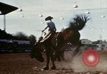 Image of Coconino National Forest Arizona United States USA, 1939, second 5 stock footage video 65675027896