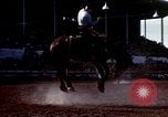 Image of Coconino National Forest Arizona United States USA, 1939, second 8 stock footage video 65675027896