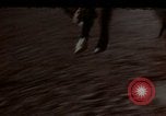 Image of Coconino National Forest Arizona United States USA, 1939, second 14 stock footage video 65675027896