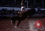 Image of Coconino National Forest Arizona United States USA, 1939, second 16 stock footage video 65675027896