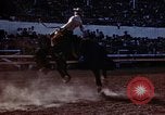 Image of Coconino National Forest Arizona United States USA, 1939, second 18 stock footage video 65675027896