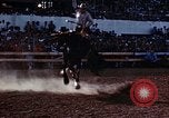 Image of Coconino National Forest Arizona United States USA, 1939, second 22 stock footage video 65675027896