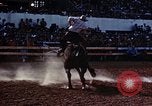 Image of Coconino National Forest Arizona United States USA, 1939, second 23 stock footage video 65675027896