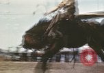 Image of Coconino National Forest Arizona United States USA, 1939, second 30 stock footage video 65675027896