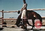 Image of Coconino National Forest Arizona United States USA, 1939, second 37 stock footage video 65675027896