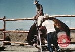 Image of Coconino National Forest Arizona United States USA, 1939, second 42 stock footage video 65675027896