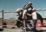 Image of Coconino National Forest Arizona United States USA, 1939, second 43 stock footage video 65675027896
