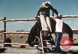 Image of Coconino National Forest Arizona United States USA, 1939, second 44 stock footage video 65675027896