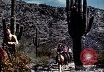 Image of Coconino National Forest Arizona United States USA, 1939, second 49 stock footage video 65675027896