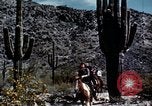 Image of Coconino National Forest Arizona United States USA, 1939, second 50 stock footage video 65675027896