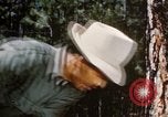 Image of Logging and sawmill operations Flagstaff Arizona USA, 1939, second 13 stock footage video 65675027897