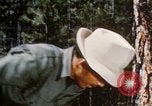 Image of Logging and sawmill operations Flagstaff Arizona USA, 1939, second 14 stock footage video 65675027897