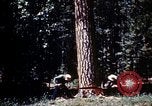 Image of Logging and sawmill operations Flagstaff Arizona USA, 1939, second 18 stock footage video 65675027897