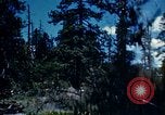 Image of Logging and sawmill operations Flagstaff Arizona USA, 1939, second 21 stock footage video 65675027897