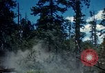 Image of Logging and sawmill operations Flagstaff Arizona USA, 1939, second 22 stock footage video 65675027897