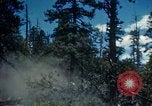 Image of Logging and sawmill operations Flagstaff Arizona USA, 1939, second 23 stock footage video 65675027897