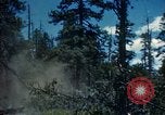 Image of Logging and sawmill operations Flagstaff Arizona USA, 1939, second 24 stock footage video 65675027897